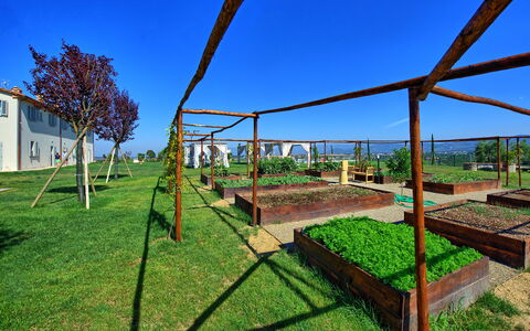 Il Sole Di Vino: Grundeigentum, Gras, Himmel, Baum, Die Architektur, Haus, Grundstueck, Ländliches Gebiet, Landschaft, Pflanze