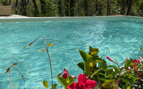 Villa La Casa Bianca: Wasser, Blume, Pflanze, Pflanzengemeinschaft, Grün, Natürliche Landschaft, Terrestrische Plant, Vegetation, Blütenblatt, Wasserlauf