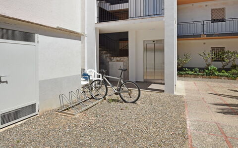 Helen: Fahrrad, Rad, Pflanze, Fahrrad-Rad, Gebäude, Fenster, Fahrradgabel
