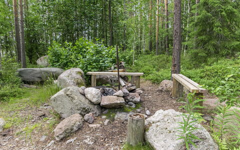 Kantri: Holz, Hütte, Blockhaus, Wald, Schuppen, Gartenbauten, Lärche, Wald, Holzbeize