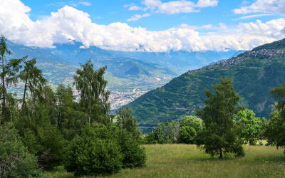 Eden Parc