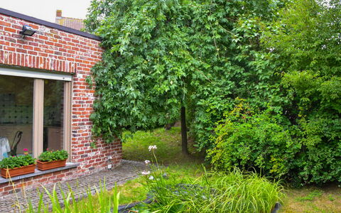 Memories: Grün, Vegetation, Eigentum, Gras, Garten, Haus, Baum, Natürliche Landschaft, Wand, Grundeigentum