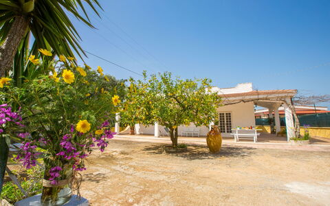 Villa Mediterranea: Eigentum, Blume, Gelb, Pflanze, Grundeigentum, Baum, Haus, Urlaub, Gebäude, Ländliches Gebiet