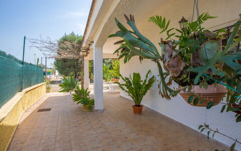 Villa Mediterranea: Himmel, Pflanze, Gebäude, Blatt, Strassenbelag, Holz, Arecales, Schatten, Terrestrische Plant, Grundeigentum