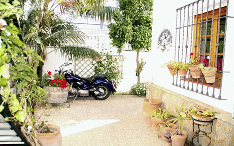 Apartamento Caracola: Pflanze, Rad, Eigentum, Blumentopf, Autoreifen, Fahrzeug, Botanik, Die Architektur