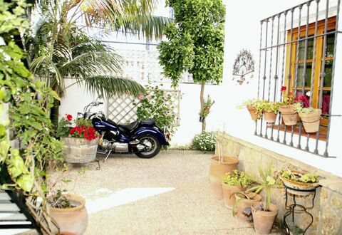 Apartamento Caracola: Pflanze, Rad, Eigentum, Blumentopf, Autoreifen, Fahrzeug, Botanik, Die Architektur