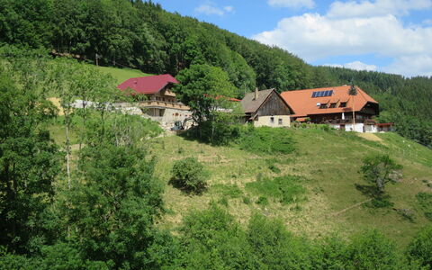 Schmalzenhof: Bergdorf, Natur, Vegetation, Bergstation, Natürliche Landschaft, Bergforms, Eigentum, Hügel, Ländliches Gebiet, Berg