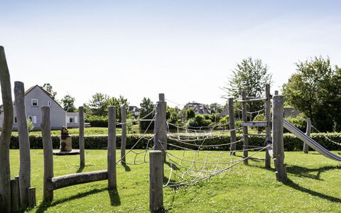 Citta Romana: Gras, Pflanze, Grundstueck, Wiese, Garten, Weide, Ländliches Gebiet, Graspflanze, Rasen