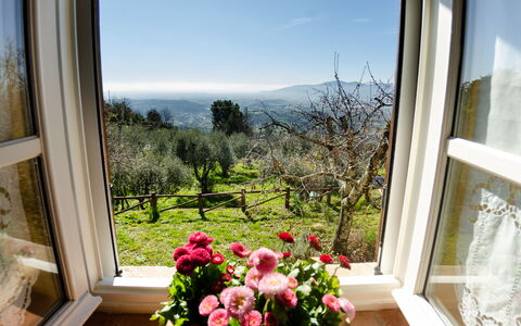 La Casa Del Sole: Eigentum, Zimmer, Fenster, Haus, Zuhause, Blume, Gebäude, Pflanze, Interior Design, Grundeigentum