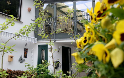 Schwalenberg 170: Pflanze, Gebäude, Blatt, Natur, Botanik, Fenster, Vegetation, Gelb, Tür
