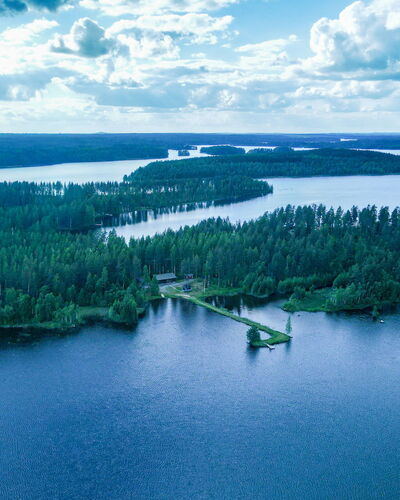 Suvituuli