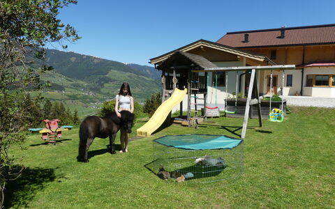 Umbichl: Eigentum, Freizeit, Berg, Gras, Grundeigentum, Landschaft, Gebirge, Haus, Grundstueck, Ranch