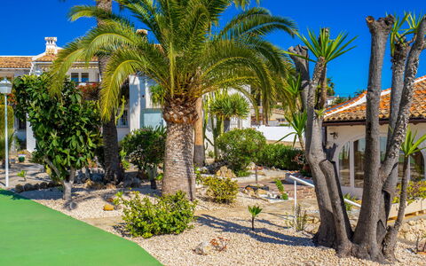 La Camarrocha: Eigentum, Baum, Grundeigentum, Palme, Haus, Estate, Zuhause, Wohngebiet, Majorelle Blue, Gebäude