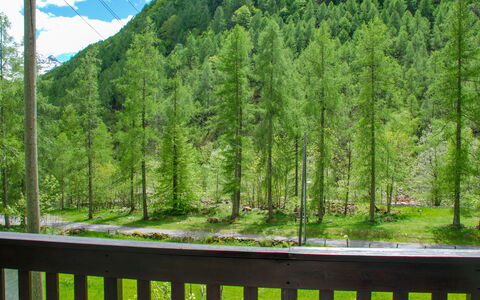 Ai Casell: Natur, Natürliche Landschaft, Baum, Grün, Biome, Natürlichen Umgebung, Bergstation, Naturschutzgebiet, Wildnis, Zaun