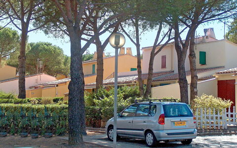 Le Centaure: Fahrzeug, Auto, Transport, Baum, Nachbarschaft, \Stadt, Transportart, Fließheck, City Car