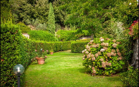 Orto Degli Olivi Proprietà: Garten, Natur, Rasen, Baum, Vegetation, Grün, Gras, Strauch, Natürliche Landschaft, Pflanze