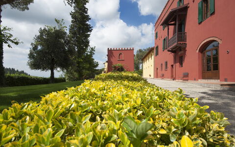 Tenuta Cambiano: Blume, Gelb, Natürliche Landschaft, Eigentum, Pflanze, Garten, Botanik, Plantage, Frühling, Grundeigentum