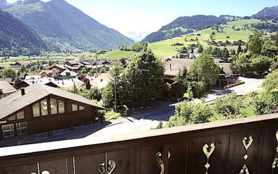 Rinderblick