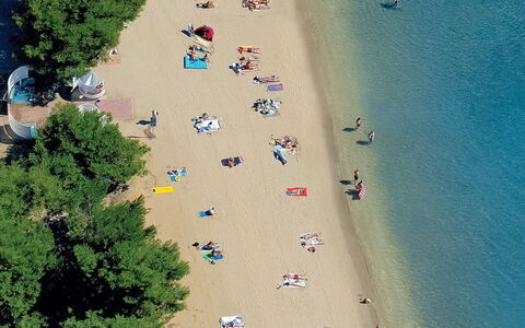 Ivanka: Strand, Luftaufnahmen, Sand, Baum, Fotografie, Welt, Küste, Landschaft, Küsten Und Ozeanische Forms, Freizeit