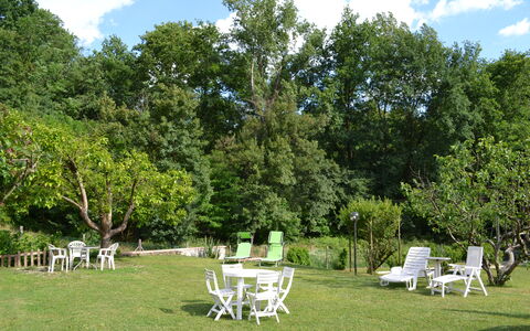 Agriturismo Il Giaggiolo without Pool: Baum, Garten, Eigentum, Rasen, Hinterhof, Gras, Garten, Gehölz, Pflanze, Haus