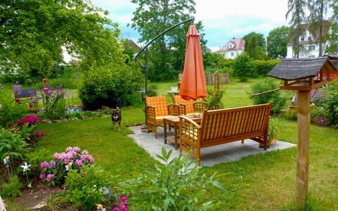 Schmetterlingsgarten: Pflanze, Blume, Himmel, Baum, Natürliche Landschaft, Gartenmöbel, Gras, Holz, Tisch Im Freien, Tabelle