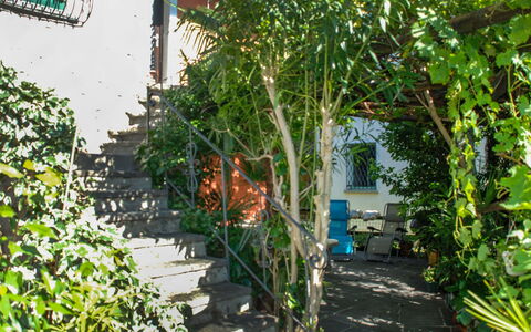 Verzaschina: Pflanze, Eigentum, Fenster, Gebäude, Tür, Biome, Gehölz, Strauch, Baum, Grundeigentum