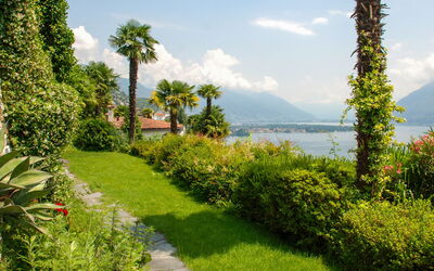 Panorama Lakeview Lago Maggiore