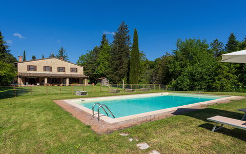 Podere a Lafi: Wasser, Pflanze, Himmel, Gebäude, Baum, Schwimmbad, Schatten, Gras, Wohngebiet, Rechteck