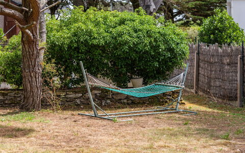 Ty Jeanne: Grün, Baum, Gras, Garten, Pflanze, Gehölz, Hinterhof, Schwingen, Garten, Haus