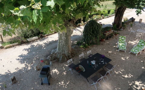 Mas de la Gourmette: Baum, Blatt, Pflanze, Botanik, Garten, Gras, Garten, Anpassung, Landschaft, Strauch