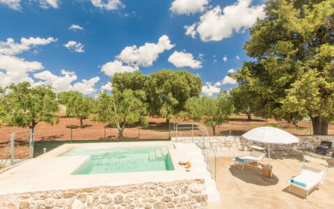 Trullo Del Pioppo Gigante: Wolke, Himmel, Daytime, Eigentum, Pflanze, Baum, Schwimmbad, Schatten, Wasser, Grundstueck