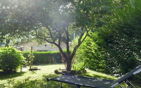 La Casina: Pflanze, Pflanzengemeinschaft, Tabelle, Schatten, Baum, Botanik, Natürliche Landschaft, Vegetation, Gartenmöbel, Tisch Im Freien