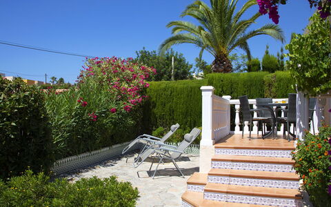 Vega: Eigentum, Grundeigentum, Haus, Garten, Botanik, Gebäude, Baum, Urlaub, Garten, Hinterhof