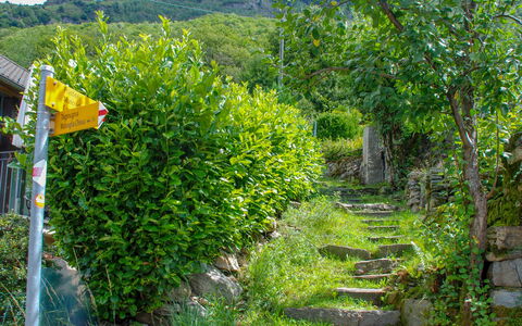 Rustico Ca' Di Garoi: Vegetation, Naturschutzgebiet, Baum, Pflanze, Botanik, Biome, Blume, Weg, Blatt, Garten