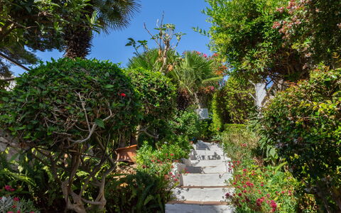 La Dorada: Vegetation, Garten, Eigentum, Botanischer Garten, Baum, Botanik, Himmel, Grundeigentum, Walkway, Pflanze