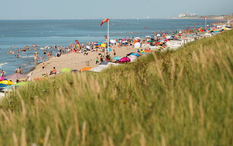 Costae with Balcony: Wasser, Himmel, Pflanze, Strand, Baum, Küsten Und Ozeanische Forms, Horizont, Freizeit, Landschaft