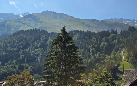 Titliszentrum 2: Berg, Bergforms, Baum, Natur, Blatt, Hügel, Vegetation, Gebirge, Wald, Hochland