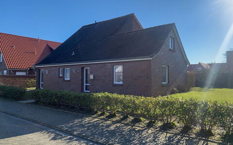 Norddeich 492: Pflanze, Himmel, Fenster, Gebäude, Grundstueck, Asphalt, Gras, Haus, Strassenbelag