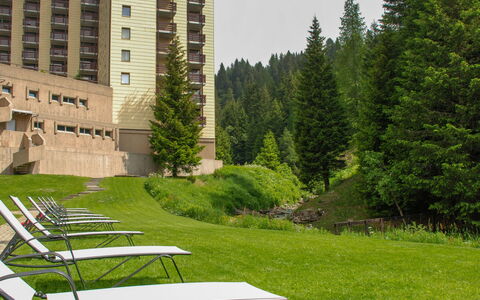 Panorama View 905: Grün, Gras, Rasen, Natürliche Landschaft, Baum, Möbel, Tabelle, Gartenmöbel, Die Architektur, Garten