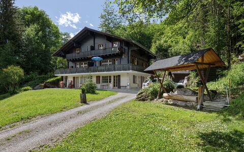 Les Diablerets 600: Baum, Haus, Zuhause, Hütte, Ländliches Gebiet, Menschliche Siedlung, Estate, Bauernhaus, Veranda, Rasen