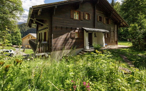 Les Diablerets 600: Gebäude, Haus, Holz, Zuhause, Hütte, Dach, Ländliches Gebiet, Abstellgleis, Tür, Blockhaus