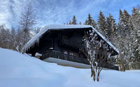 Les Diablerets 600: Himmel, Gebäude, Schnee, Wolke, Baum, Pflanze, Haus, Steigung, Holz, Hütte