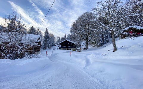 Les Diablerets 600: Wolke, Himmel, Schnee, Fenster, Gebäude, Steigung, Pflanze, Baum, Terrain, Haus