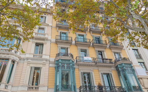 Centro: Passeig de Gracia - Casa Batllo: Gebäude, Fenster, Eigentum, Baum, Urban Design, Wand, Eigentumswohnung, Fassade, Stadt, Symmetrie