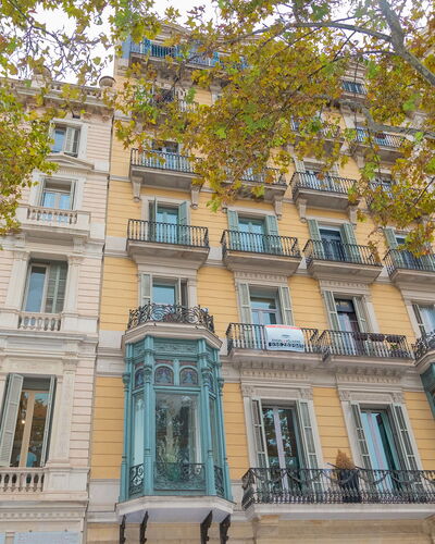 Centro: Passeig de Gracia - Casa Batllo: Gebäude, Fenster, Eigentum, Baum, Urban Design, Wand, Eigentumswohnung, Fassade, Stadt, Symmetrie