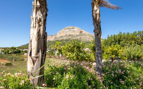 Villa Finca Labranza: Vegetation, Baum, Wildnis, Natürlichen Umgebung, Naturschutzgebiet, Pflanzengemeinschaft, Pflanze, Biome, \Fels, Botanik