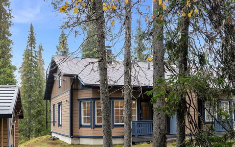 Tähti B: Holz, Flooring, Fussboden, Möbel, Holzboden, Interior Design, Etagenbett, Zimmer, Holzbeize, Hartholz