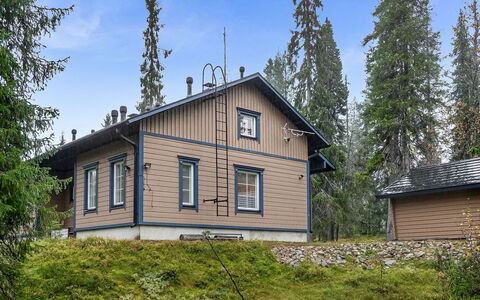 Tähti B: Holz, Flooring, Fussboden, Möbel, Holzboden, Interior Design, Etagenbett, Zimmer, Holzbeize, Hartholz