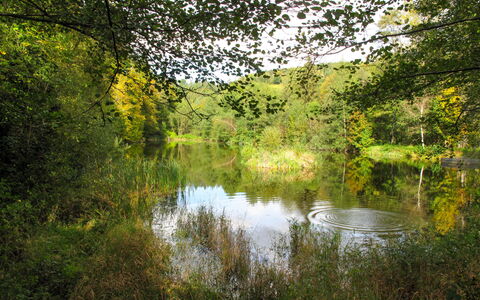 Kralovice: Natürliche Landschaft, Natur, Baum, Wasser, Reflexion, Natürlichen Umgebung, Naturschutzgebiet, Grün, Vegetation, Bank
