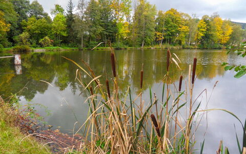 Újezd Svatého Kříže: Gewässer, Natürliche Landschaft, Natur, Reflexion, Wasser, Teich, Bank, Natürlichen Umgebung, Fischteich, Vegetation